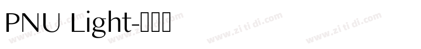 PNU Light字体转换